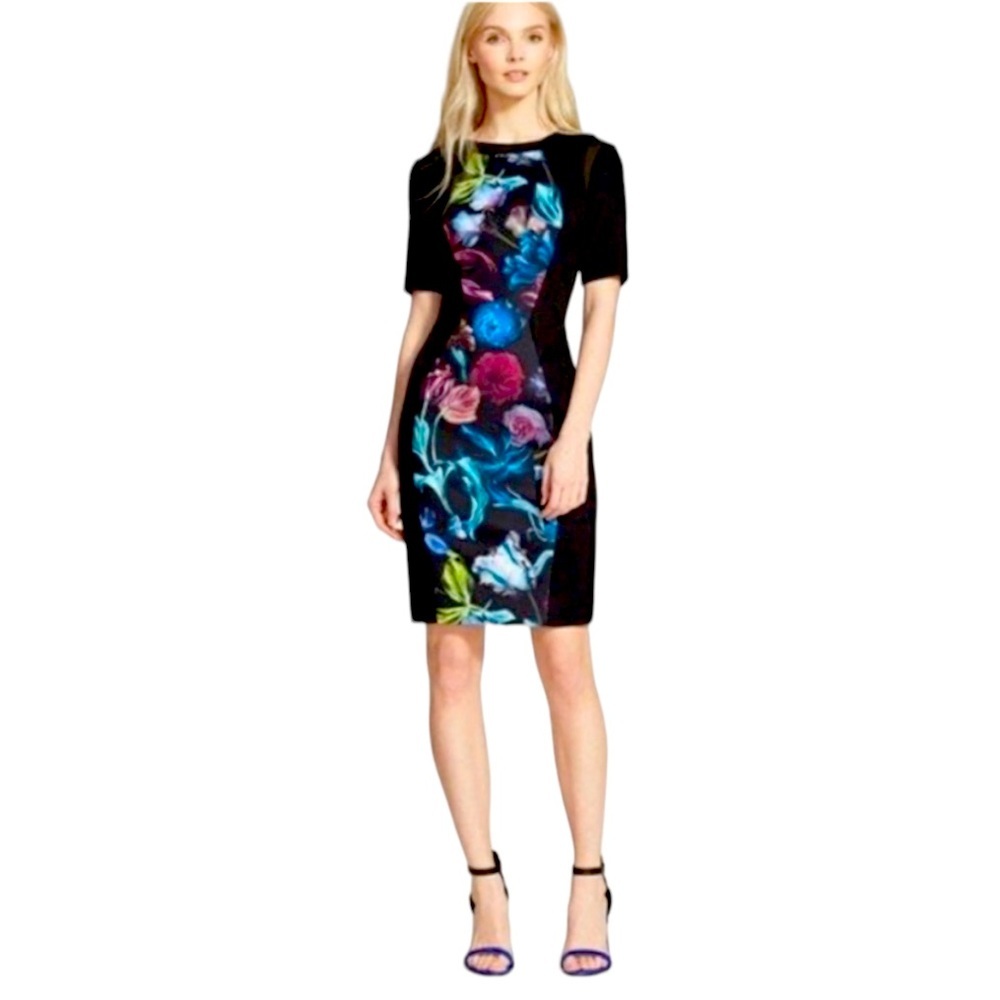 Ted Baker Abade Dress in Midnight Bloom